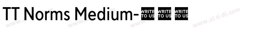 TT Norms Medium字体转换 TT Norms Medium字体转换